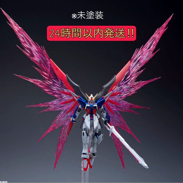 HGデスティニーガンダムSpecII & ゼウスシルエット用超大型光の翼パーツ