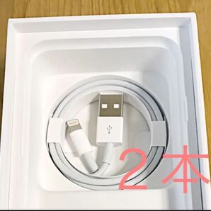 Apple iPhone充電ケーブル2本