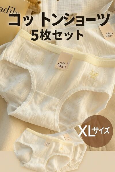 コットンショーツ 5枚セット【XL】パンツ 下着 レディース 新品 シンプル