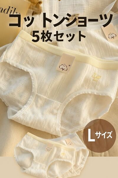 コットンショーツ 5枚セット【L】パンツ 下着 レディース 子供 新品 シンプル