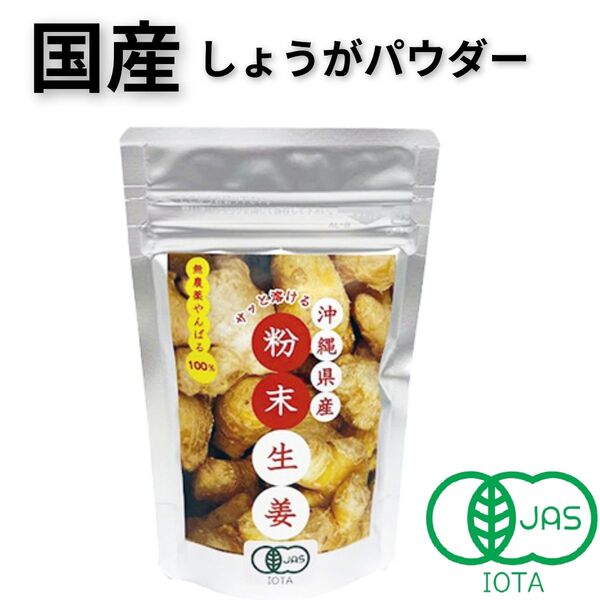【3袋】国産 沖縄県産サッと溶ける粉末生姜 大宜味村 無農薬栽培 JASマーク 有機粉末生姜 しょうが やんばる 大宜味