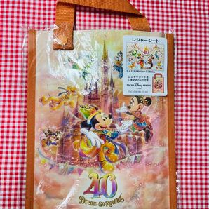 【新品未使用】ディズニーランド 40周年 レジャーシート しまえるバック付