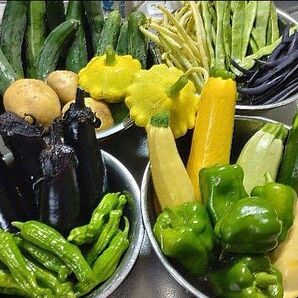 野菜詰め合わせセット 70サイズいっぱい