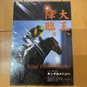 キングカメハメハ クリアファイル
