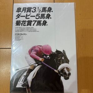 ナリタブライアン クリアファイル
