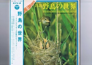 帯付 インサート付 LP 蒲谷鶴彦 / 野鳥の世界 / Feathered Singers Of Japan ステレオできく大自然のオラトリオ JX-1001