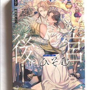 小説 BL 巣ごもりオメガは後宮(ハレム)にひそむ (&arche NOVELS) 晦リリ