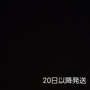 P&G レノアオードリュクスマイルドフルネスシリーズ スリープ 600ml 2袋