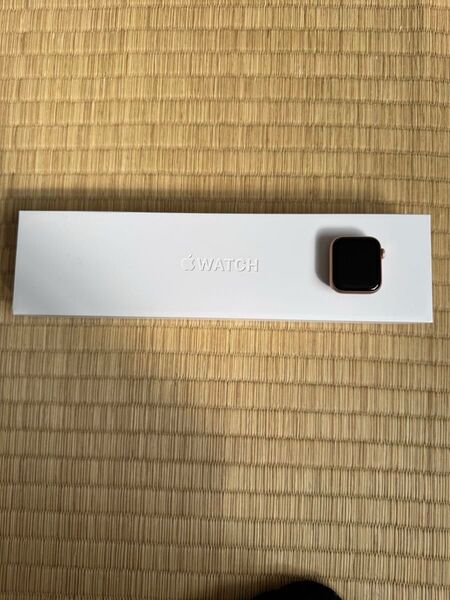 Applew Watch Series6 40mm GPSモデル 最大容量87% watchOS 11.5