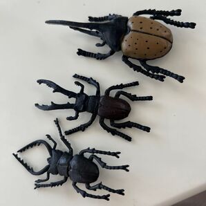 昆虫フィギュア 3個セット カブトムシ クワガタ リアル標本 ガチャガチャ