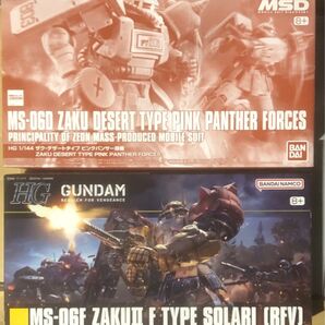 ガンプラ HG ザク2種 ソラリ機(復讐のレクイエム)/プレバン限定デザート・ザク(ピンクパンサー隊機)未組立