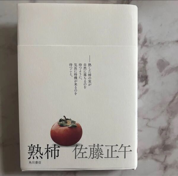 熟柿 佐藤正午