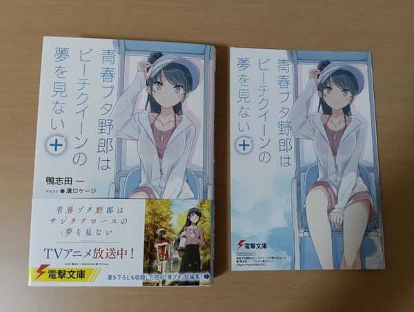 青春ブタ野郎はビーチクイーンの夢を見ない+ (電撃文庫 4333) 鴨志田一/〔著〕