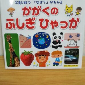【自由研究】美品かがくのふしぎひゃっか