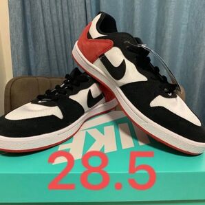 NIKE ナイキ SB アリウープ 28.5cm