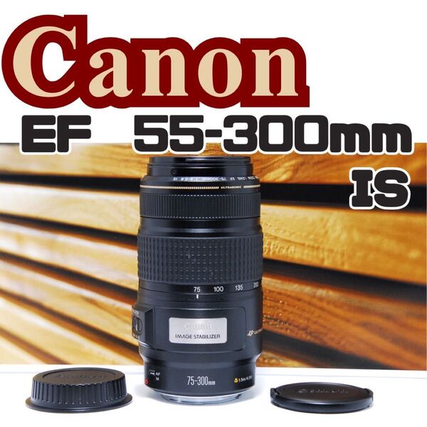 美品 Canon EF 75-300mm IS USM☆超望遠レンズ☆人気望遠! IS EF CANON キャノン ZOOM LE