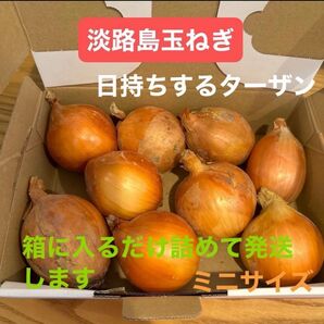 淡路島玉ねぎ*二等品*ターザン