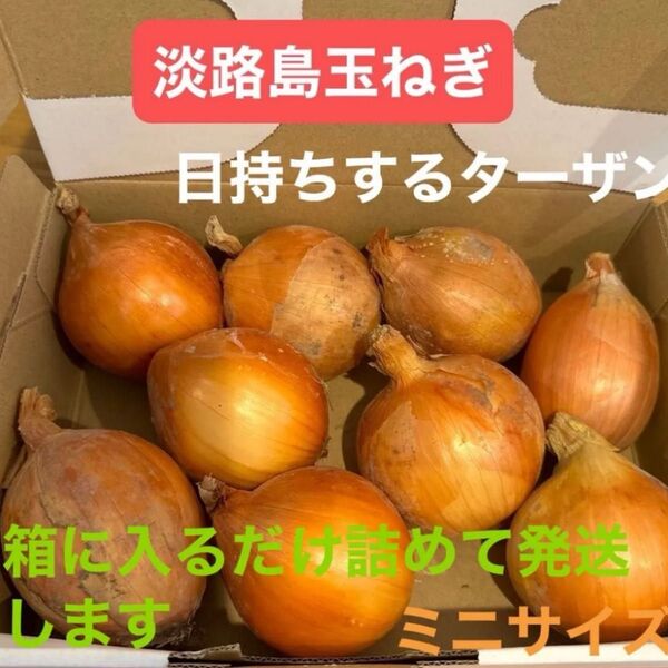 淡路島玉ねぎ*二等品*ターザン