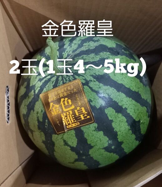 熊本県産植木スイカ 金色羅皇2玉入り(1玉4kg以上)