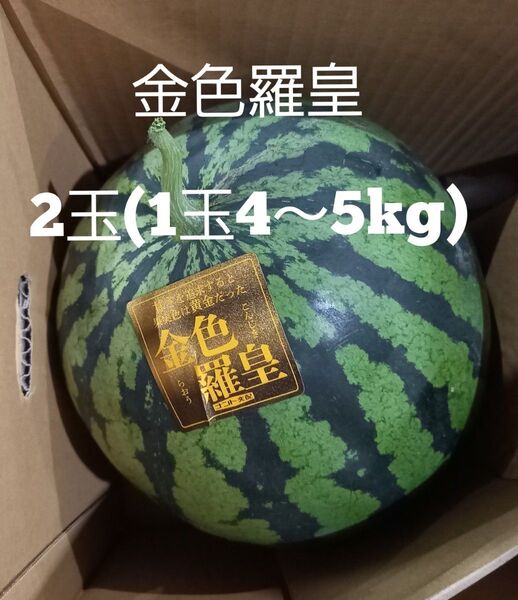 熊本県産植木スイカ 金色羅皇2玉入り(1玉4kg以上)
