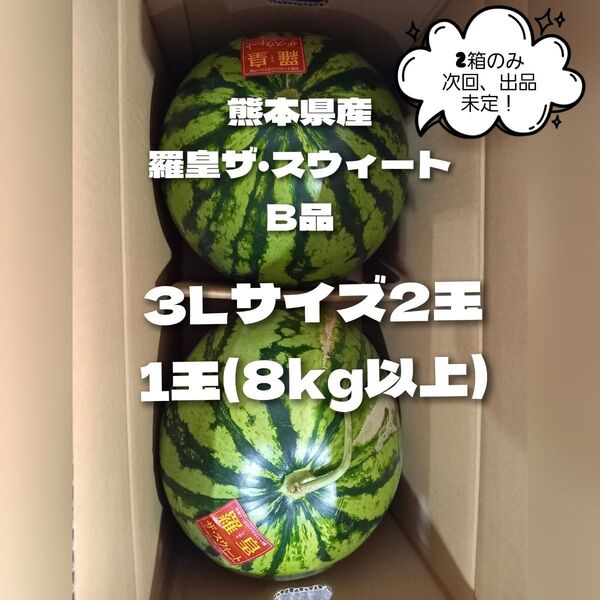 熊本県産植木スイカ B品 羅皇ザ・スウィート2玉入り(1玉8kg以上)