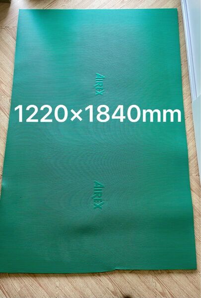 【訳あり】スイス製AIREX エクササイズマット 1220×1840 エアレックス リハビリ運動ヨガトレーニング 定価75000円