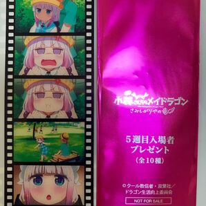 映画 小林さんちのメイドラゴン 入場者特典 5週目 フィルム風しおり カンナ 小林 公園