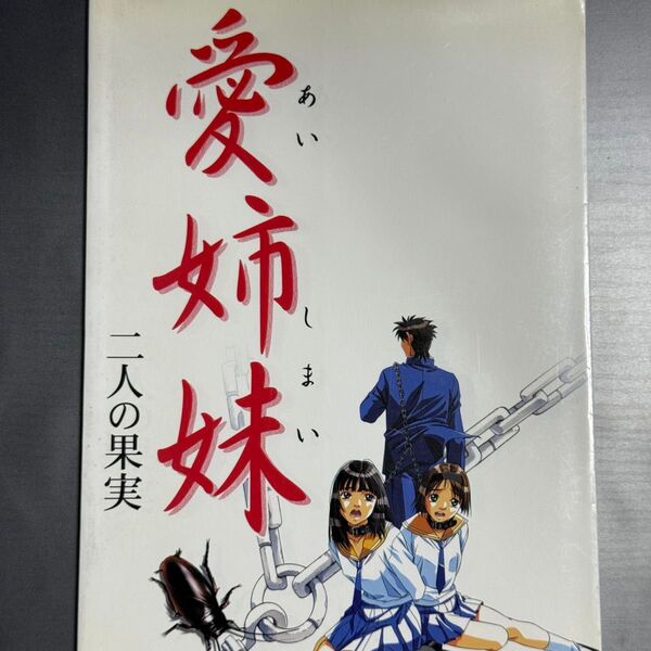 1994年発売PCゲーム 愛姉妹 原画集 成人向けです