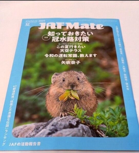 JAF Mate 2025夏号の冊子 関西版 エゾナキウサギ ガイド