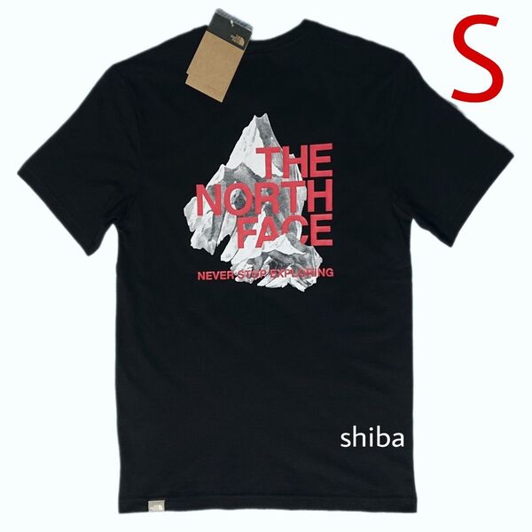 ノースフェイス 半袖 シャドウ THE NORTH FACE tシャツ BLACK 黒 ブラック 赤 レッド 海外Sサイズ