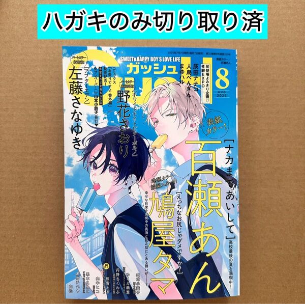 GUSH 2025年8月号 ハガキのみ切り取り済 抜けページ無し《開かずこのまま梱包》