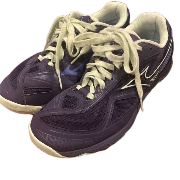 卓球シューズ 25.0cm ミズノ MIZUNO ウエーブメダル7