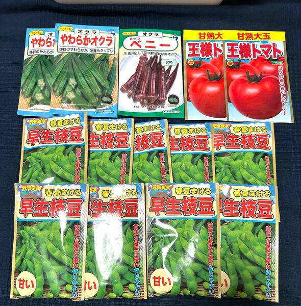 野菜の種 王様トマト2つ入り