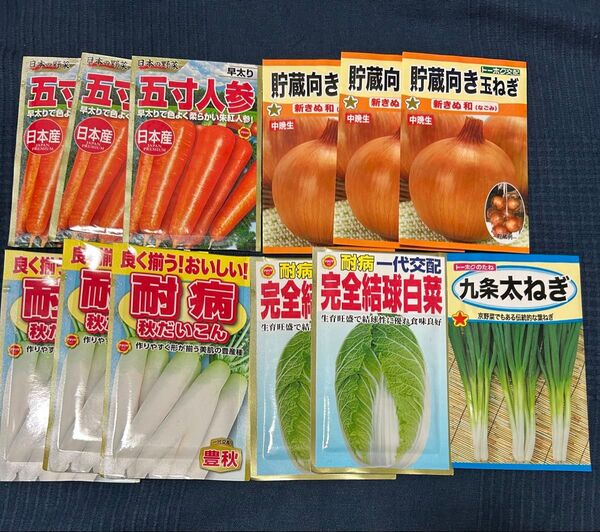 野菜の種 ネギ入り