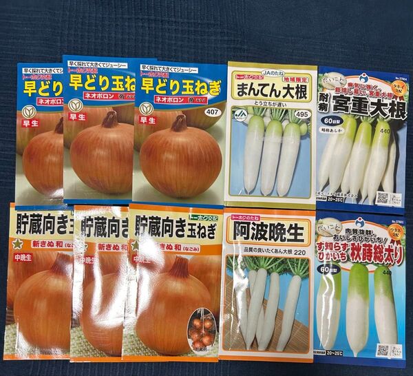 野菜の種 玉ねぎ 大根
