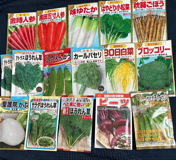 野菜の種 大さやえんどう入り