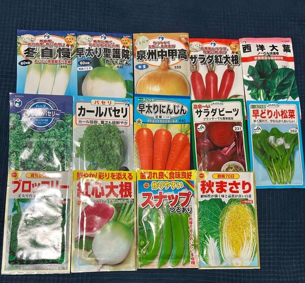 野菜の種 ブロッコリー入り