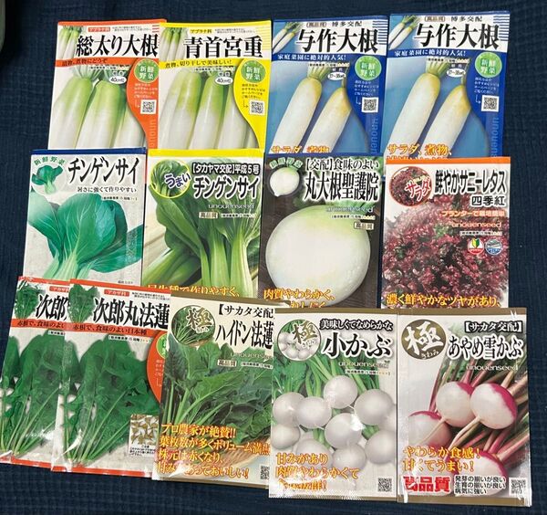 野菜の種 あやめ雪かぶ入り