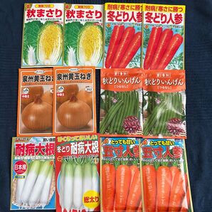 野菜の種 にんじん2種