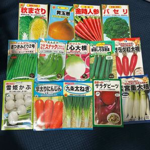 野菜の種 ネギ入り