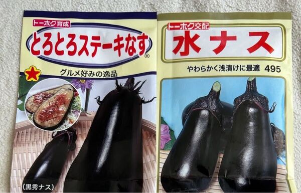 野菜の種 トロトロステーキなす 水ナス