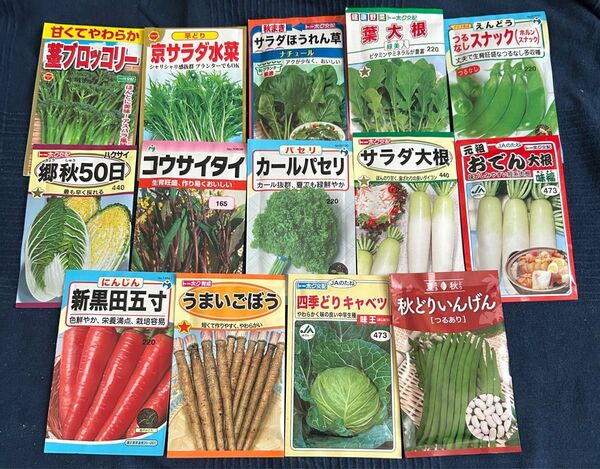 野菜の種 茎ブロッコリー入り