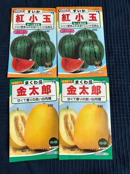 野菜の種 こだまスイカ マクワウリ