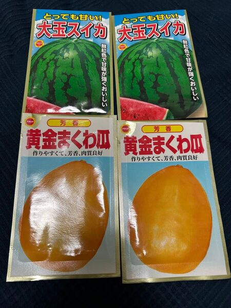 野菜の種 大玉スイカ マクワウリ