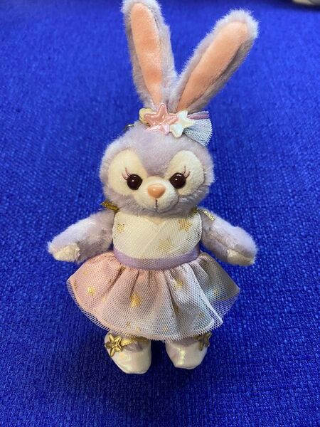 ディズニーシー正規品スターリードリームスぬいぐるみバッジ写真の子お届け