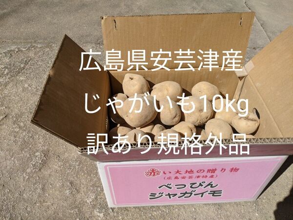 広島県安芸津産じゃがいも10kg 訳あり規格外品