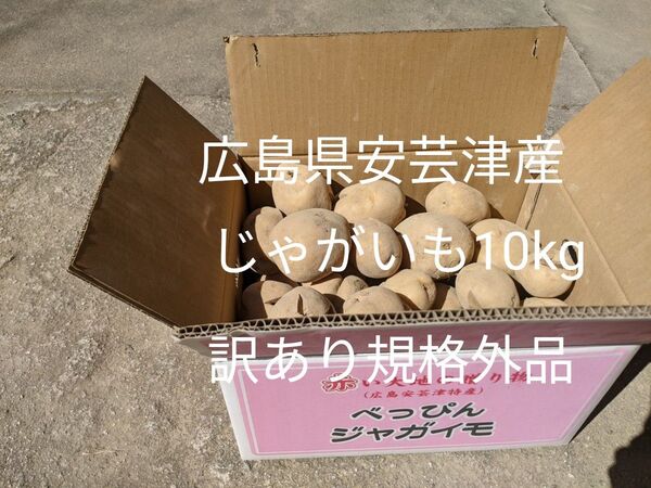 広島県安芸津産じゃがいも10kg 訳あり規格外品