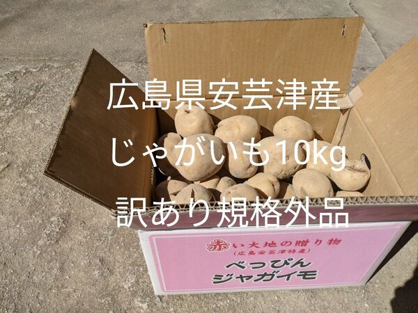 広島県安芸津産じゃがいも10kg 訳あり規格外品