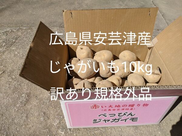 広島県安芸津産じゃがいも10kg 訳あり規格外品
