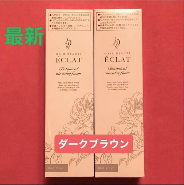 ★ヘアボーテ エクラ ボタニカルエアカラーフォームup ダークブラウン 150g 2本 ハリ艶!白髪染め